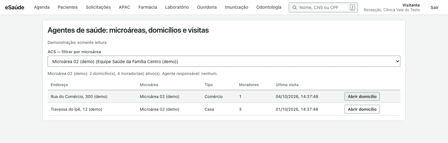 Tela de agentes de saúde com o filtro de microárea aplicado e os dois domicílios da microárea listados.